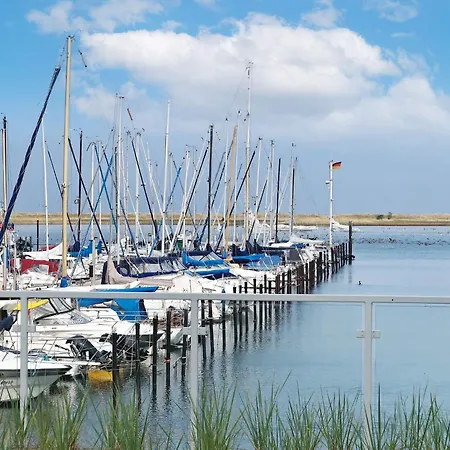 Apartment 6 Person In *